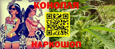 прущие грибы Нальчик