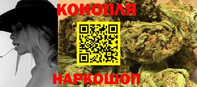 прущие грибы Нальчик